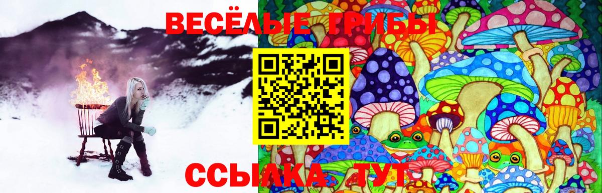 Псилоцибиновые грибы ЛСД Мценск